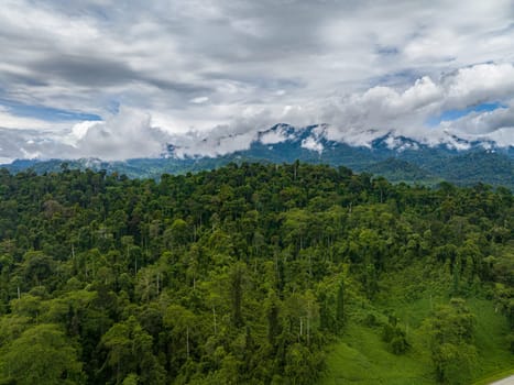 Jungle and mountains in Borneo. Mountain slopes with tropical vegetation. Malaysia.