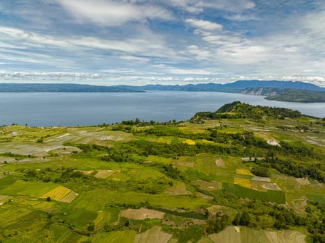 Lake Toba and farmland with rice fields in the mountains view from above. Sumatra, Indonesia.