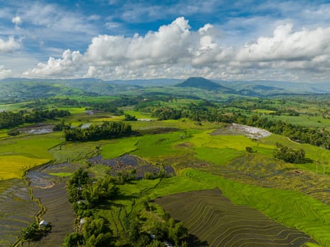 Top view of rice plantations and farmland of farmers in a mountain valley. Negros, Philippines
