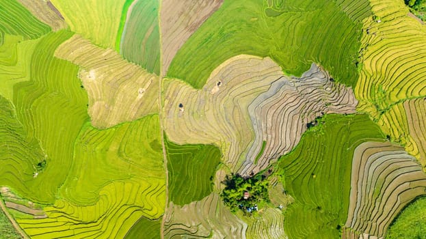 Top view of valley with farmland and fields of farmers. Negros, Philippines