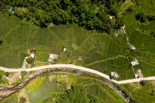 Aerial view of Farming and growing plants in rural areas of Philippines. Agricultural landscape.