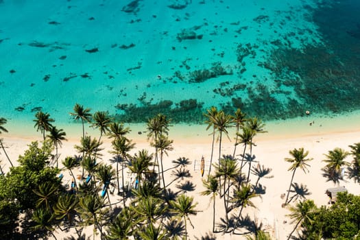 Aerial drone of Tropical beach with palm trees and blue lagoon water. Pagudpud, Ilocos Norte Philippines
