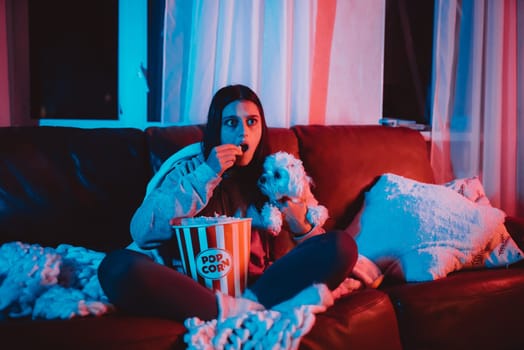 Beautiful young girl watching movie at home in a dark room with a popcorn bucket and playing with her dog and sits in front of a monitor or TV watching movie. Crazy emotions. High quality photo