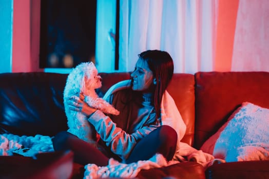 Beautiful young girl watching movie at home in a dark room with a popcorn bucket and playing with her dog and sits in front of a monitor or TV watching movie. Crazy emotions. High quality photo