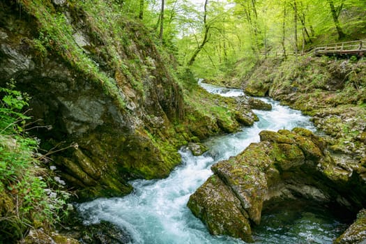 Vintgar gorge waterfall in Slovenia, Triglav national park. Pure fresh water in beautiful nature and forest. Tourist paths near waterfalls