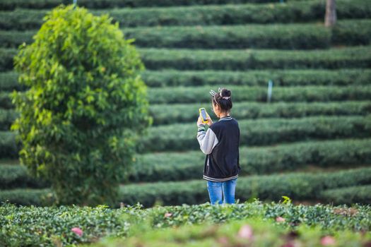 asia girl take a photo at tea farm