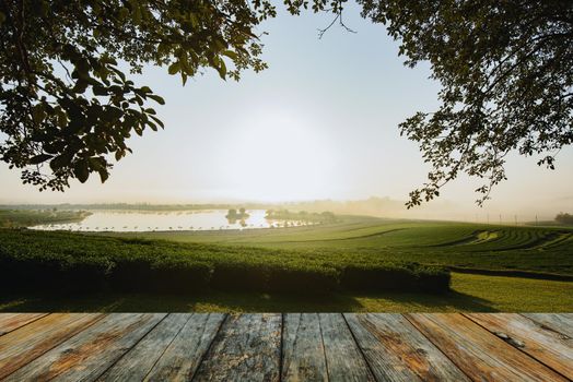 wood floor on tea farm in the morning