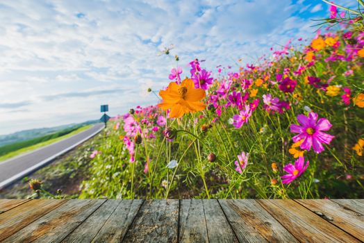 wood floor on The Cosmos Flower of grassland