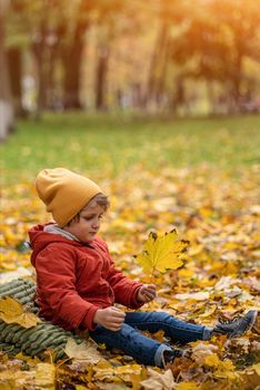 Sitting on the ground cute little blond baby boy having fun outdoors in the park in autumn time in the foliage under a tree in an autumn warm red color jacket and a cute yellow hat. Toned image.