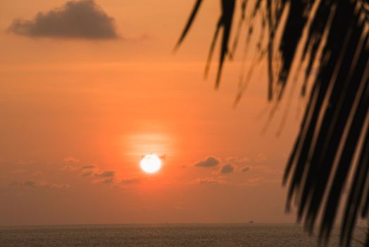 Beautiful sunset on the beach with view of sea