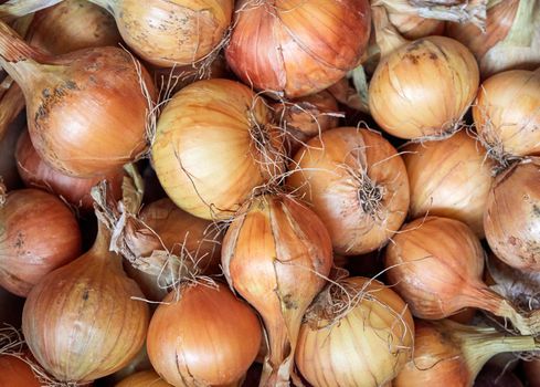 Fresh onions as a background. Pile ripe onions in market