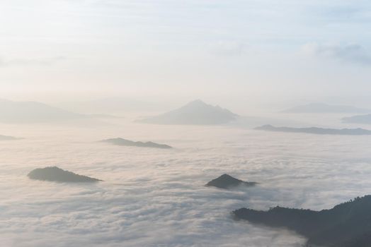 fog and cloud mountain valley landscape