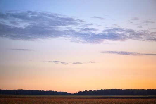 Early autumn dawn over an agricultural field