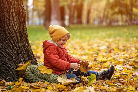 Little cute boy have fun outdoors in the park in autumn time sitting in the leaves under a tree in an autumn warm jacket and a cute hat.