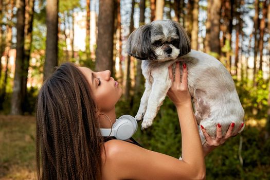 A young woman holds her cute Shih Tzu in her arms. Cute pet