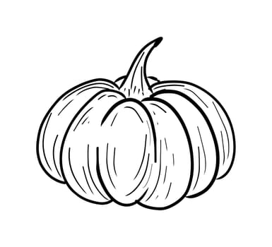 draw pumpkin ball line art for halloween