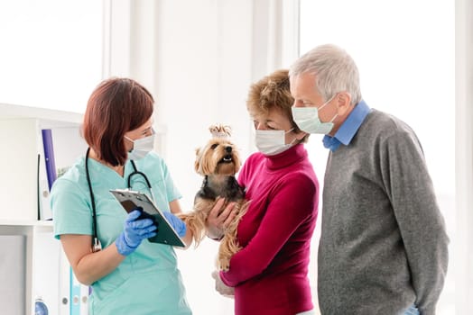 Veterinarian explaining yorkshire terrier diagnosis to couple of owners in protective masks during appointment in veterinary clinic