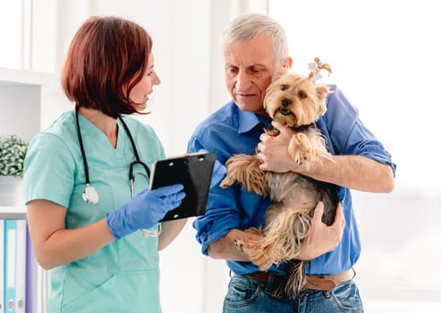 Doctor giving prescriptions to yorkshire terrier dog owner in veterinary clinic