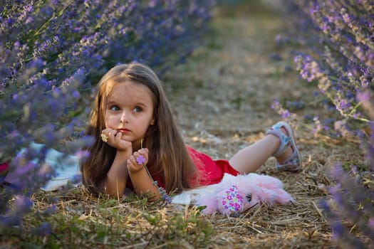 Portrait of cute little girl in the lavender flowers in meadow.