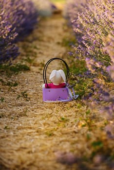 Toy plush bunny in a basket on a lavender field.