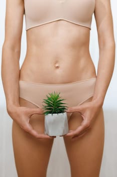 Close-up of woman holding a cactus on a background of panties. Depilation of a bikini zone. Hair removal, joke, laser epilation, fun.