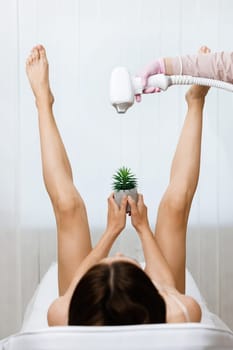 Bikini Laser hair removal. Woman lifted her beautiful long legs apart, holding a prickly plant between her legs. Hand holding laser gun of medical equipment. Concept of depilation and epilation.