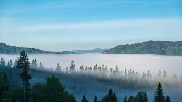 Foggy sunrise over the mountain valley. Landscape at dawn with low thick fog over trees. Morning mist haze download photo