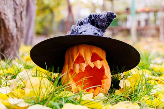Halloween pumpkin in witch hat on yellow leaves in the park or forest in autumn. Halloween background, card, banner