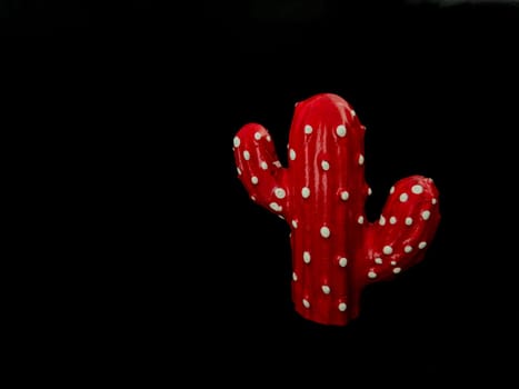 Red cactus on a black background. High quality photo
