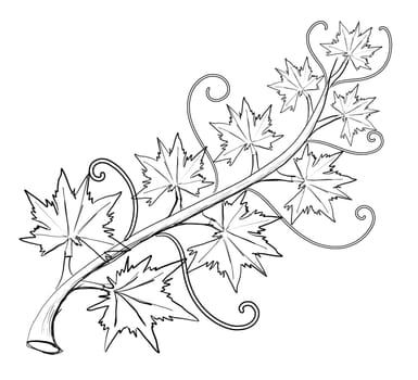 pumpkin leaf vine hand drawn lines on Halloween day On a white background, isolate