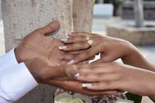 The palms of a man and a woman. High quality photo