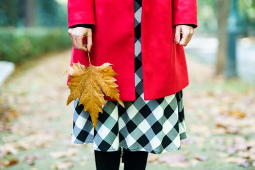 Crop anonymous female wearing red coat and checkered skirt standing with dry maple leaf in hand on footpath in autumn park