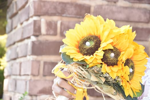 three yellow sunflower flowers, brick wall. High quality photo