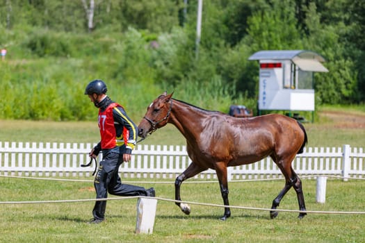 A man leads a horse on a run. Moscow Russia July 1, 2023.