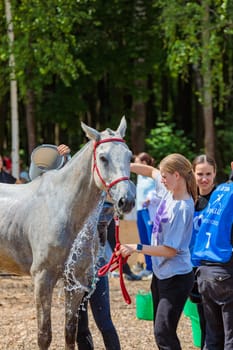 Cold water is poured on the horse to restore strength and pulse. Body cooling. Moscow Russia July 1, 2023. High quality photo