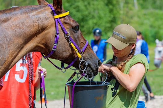 A tired horse drinks water in competitions, horse runs for long distances. Moscow Russia July 1, 2023. High quality photo