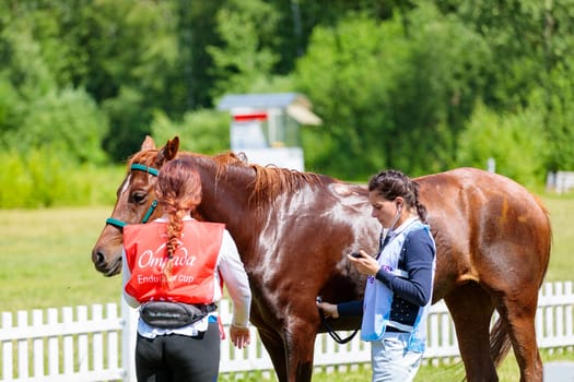 Girl doctor examines the horse at the competition. Moscow Russia July 1, 2023.