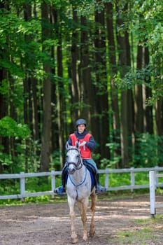 A rider rides a horse in a competition. Moscow Russia July 1, 2023. High quality photo