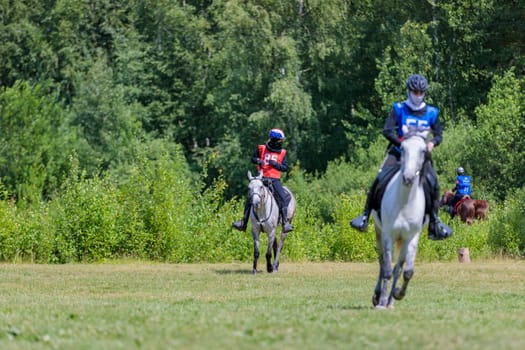 A rider rides a horse in a competition. Moscow Russia July 1, 2023. High quality photo