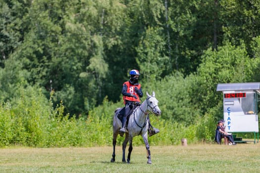 A rider rides a horse in a competition. Moscow Russia July 1, 2023. High quality photo