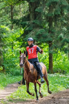 A rider rides a horse in a competition. Moscow Russia July 1, 2023. High quality photo