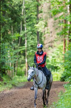 A rider rides a horse in a competition. Moscow Russia July 1, 2023. High quality photo