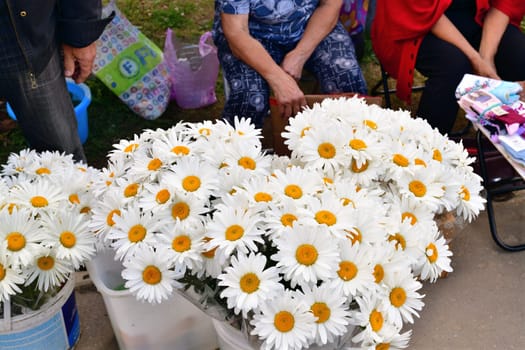Moscow, Russia - July 21. 2023. Pensioners sell grown flowers near Kryukovo railway station