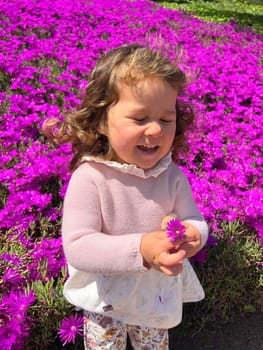 Cute little girl is playing with purple flowers, toddler looking at flower