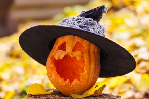 Halloween pumpkin in witch hat on yellow leaves in the park or forest in autumn. Halloween background, card, banner