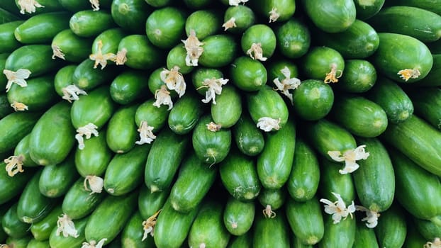 green cucumbers fresh vegetables lie in the grocery store, fresh food, vegetarianism. High quality photo