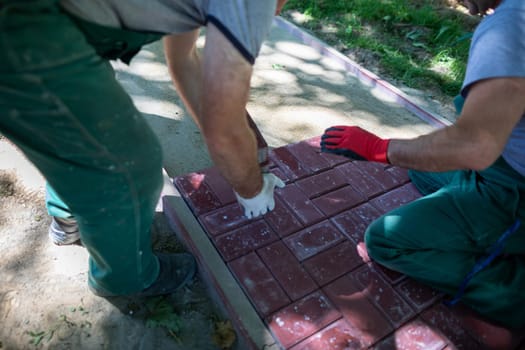 Working together to lay paving stones. Two workers on a sunny day do the hard work of building a new pedestrian walkway.