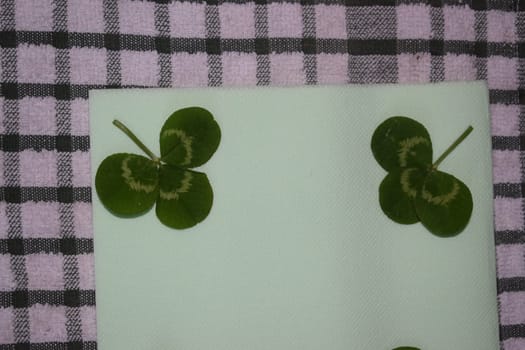 sprig of green clover leaves on a light green background, Patrick day. High quality photo