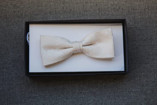 Men's bow tie in the cardboard box. Close-up. Top view.