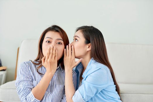 portrait of two young attractive happy women with  eavesdrops whispers a secret (mystery) in the studio on living room. The concept of gossip and confidentiality